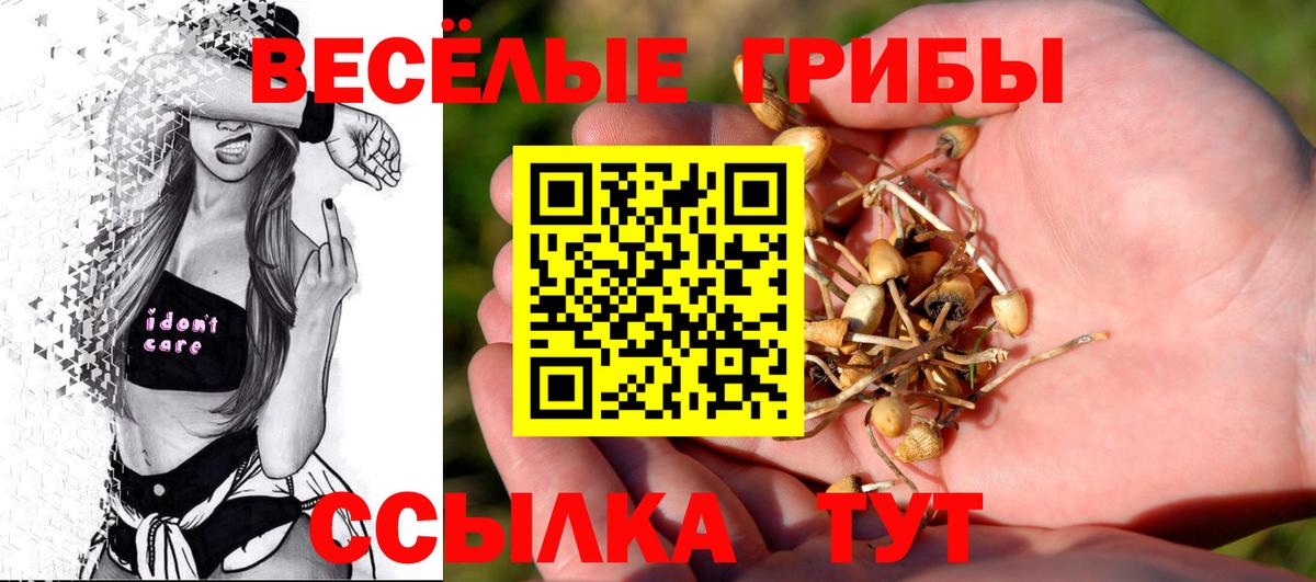 Галлюциногенные грибы Cubensis Тосно